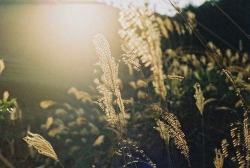 12.知识就是力量。