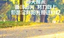 乐观向上的句子