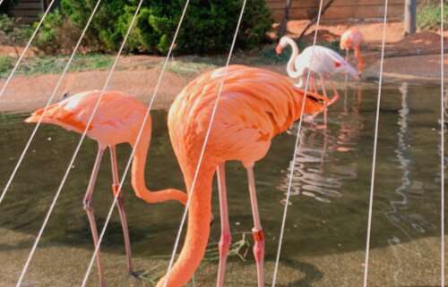 唯美的句子大全100句 唯美的句子说说心情 1