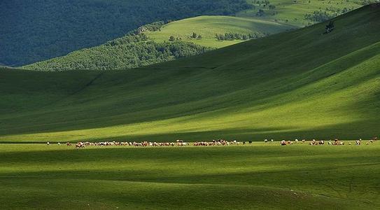 描写草原的诗句 2