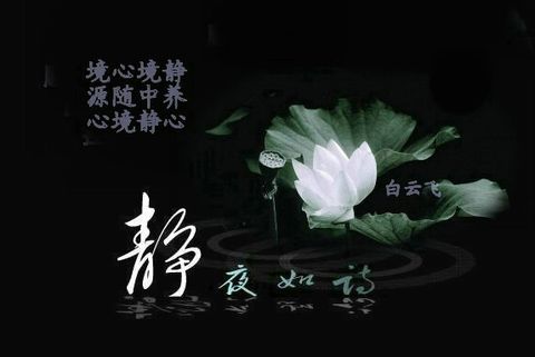 用来形容平静情绪的句子