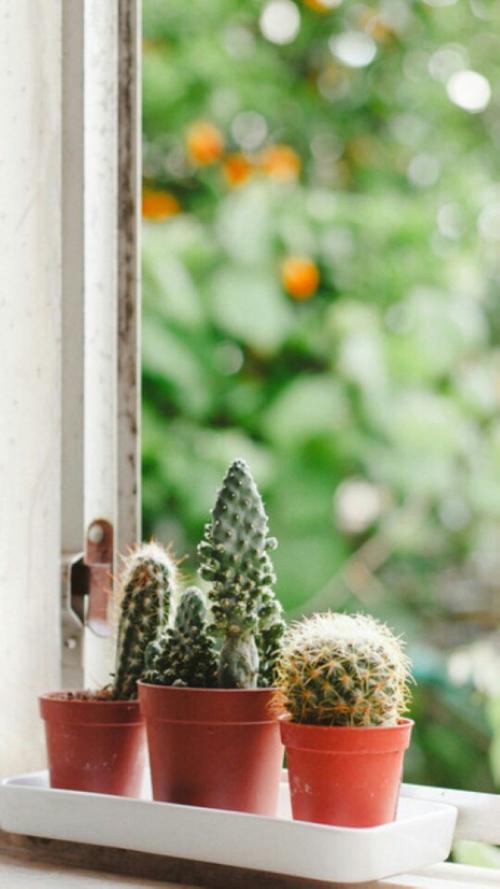 关于亲情幸福的温暖句子