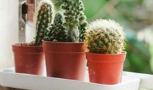 关于亲情幸福的温暖句子