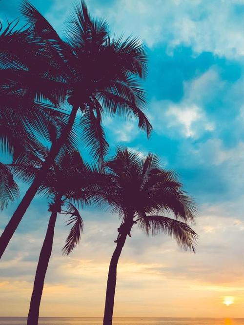 一个抒情的句子