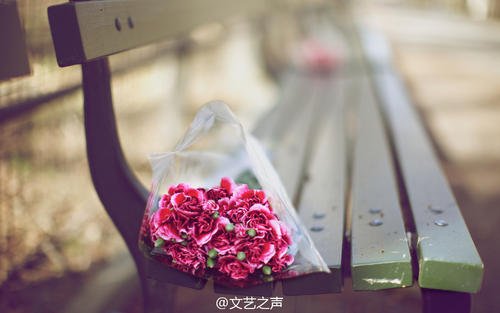10.如果您家中种满鲜花，就会感到很美……尽管您不花很多钱，但心情却很好。花一点钱，享受它。这是...邓千谦的汽车后备箱已满...