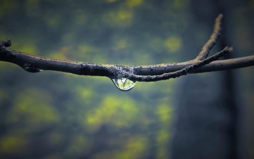 10.无论损失多少，都必须有勇气在阳光下灿烂地微笑。