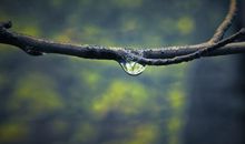 不去想不开心的句子