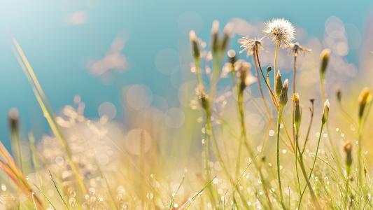 11.亲情可以养育人们的心灵，使生命之船充满阳光。