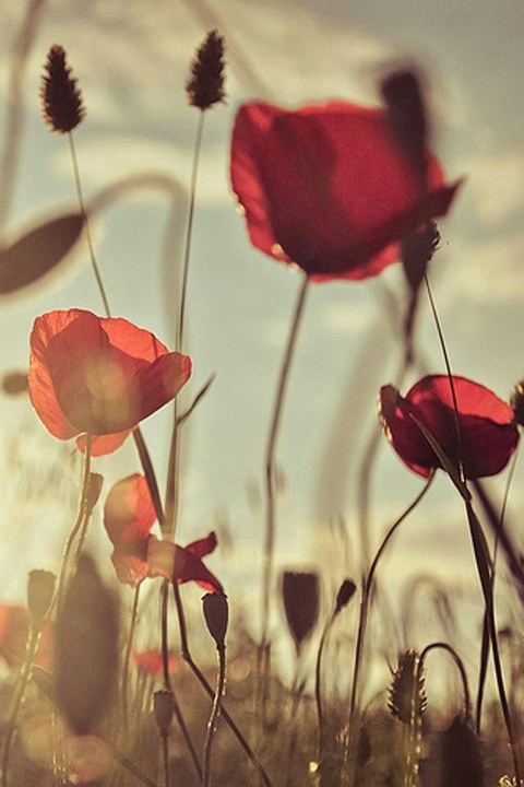 对未来充满希望的一句话