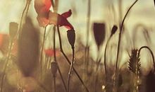 对未来充满希望的句子