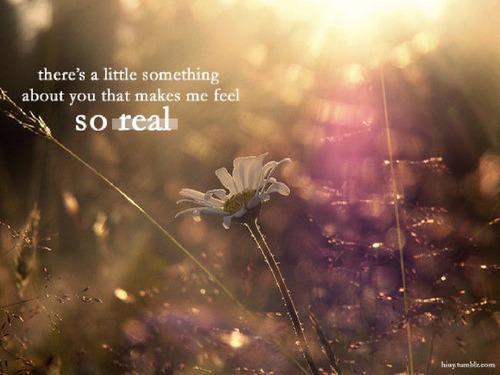 12.在这个悲伤而灿烂的三月，我经历了我瘦弱的青年，经历了紫罗兰色的紫罗兰，经历了木棉花，经历了微弱的欢乐，悲伤和无常。