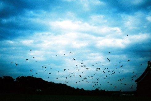 10.记录您所有的最佳外观,但要知道您的存在是世界上最独特的风景。