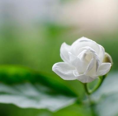 悲伤和疲倦的句子谈论心情2