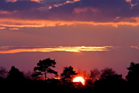 11.遗憾实际上是非常痛苦的。我现在有绝对的发言权。