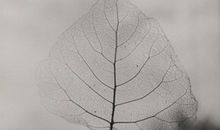 关于做事情后悔的句子