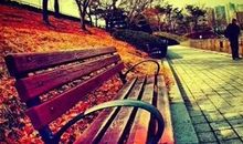 谢谢的句子经典语录