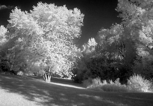 11.父亲节到了,我想给你一件外套:口袋保暖,衣领贴心,袖子贴心,纽扣贴心;让这件外套陪伴您度过每一分每秒,快乐的父亲节!