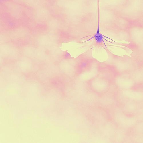 13，金钱不重要，地位不重要！重要的是家庭的爱与关怀！