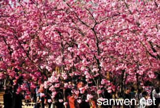 谢谢句子经典语录3