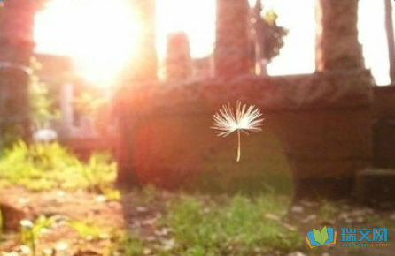 10.对于那些与我们接触的人，佛陀在经文中说，总有四个条件：偿还感激，不满，追债和还款。