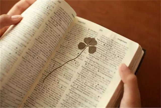 关于勤奋的行情3