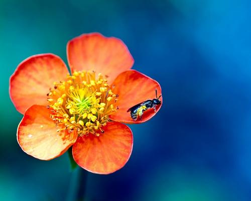 12.大约五个月前，我感到我的小宝贝感动了。那时真的很棒。我深受感动。