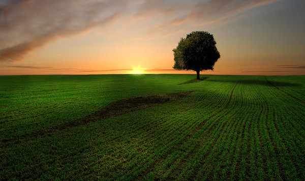 关于人生沧桑的审美句子