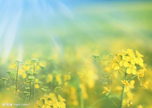 10.怀孕后，我丈夫对我的待遇更好。我觉得我最幸福的是我的孩子和我的丈夫在我身边。