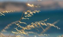 描写秋天的句子22句