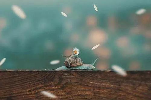 10.遗憾的感觉是毫无价值的，没有人会为别人的遗憾感到内gui。使他人感到有价值的是您的广度和深度，而不是您的肤浅和软弱。