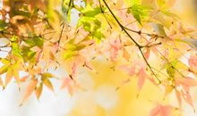 让自己开心的励志句子