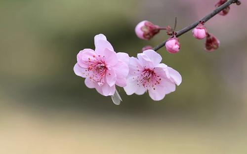 12.我假装为老板工作，而老板假装付我工资。