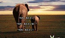 感触很深的句子