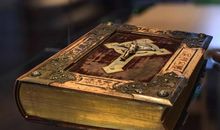 没心没肺开心的句子