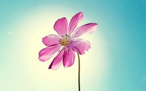 11.人们需要养育家庭友谊和热爱生活。有了这种感情，您将拥有完美的生活。