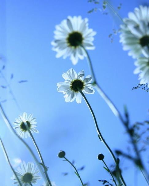 父母爱并尊重他们所爱。