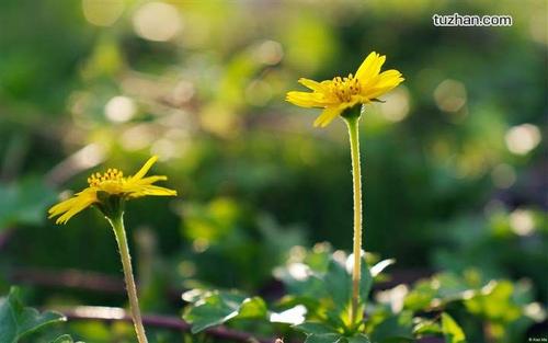 12.每个女宿舍都有一个好学生，一个大声的父亲，一个自大的女孩，一个黄色的女孩和一个减肥狂。