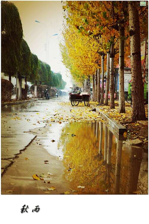 50句话描述秋雨