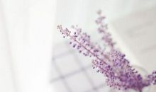 结伴同游开心的句子