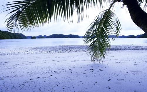 10.感觉是如此之快，农历新年即将来临，但我从未感受到过春节。哈哈哈哈，因为我在我的家乡，我仍然有哈哈哈哈，但是外出的人应该注意安全