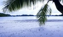 还有几天过年了要开心的句子