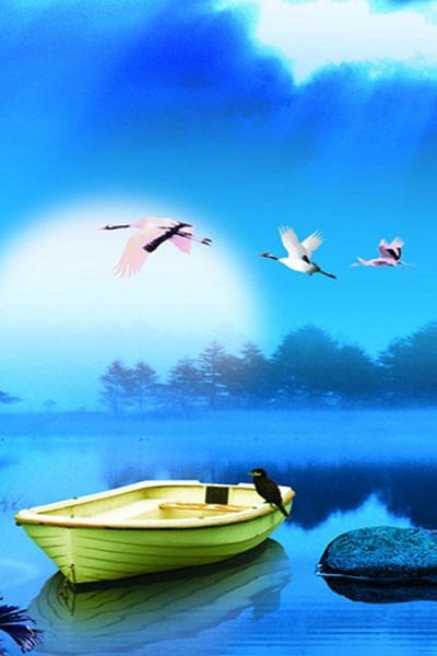 12.有了照顾，家庭感情会更加温暖；精心照顾，友谊会更幸福；有了爱心，爱会更多。