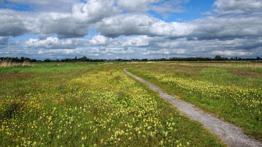 10.打败鼓，切断人行道，在秋天割断大雁的声音。卢聪今晚是白色，月亮是故乡。兄弟分散，没有家人要死。书的长度还没有达到，情况是部队没有被停职。 （杜甫：“月亮回想她的兄弟”）