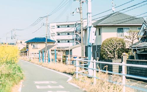 10.花朵灿烂地微笑着，鸟儿快乐地大喊。我的心情和吃蜂蜜一样甜。