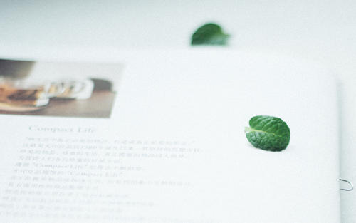 11.幸福就像花朵的芬芳，蝴蝶的翅膀散落在随意的角落。品尝幸福就是用灵魂去欣赏人心的光芒。