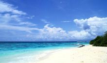 形容亲情贵重的句子