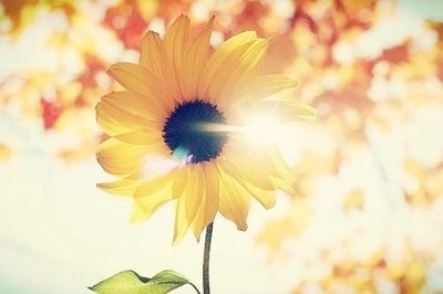 11.那些对我感激的人，我偿还；那些对我有不满的人，我想消除不满。