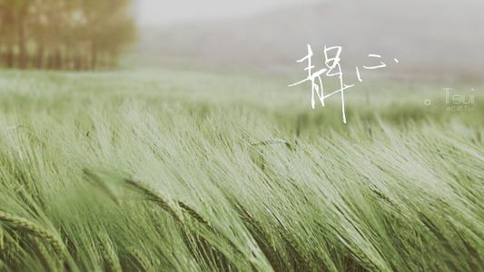 12.许多人说，婚姻是爱情的坟墓，但是可以和平相处的爱情胜过街头的尸体。