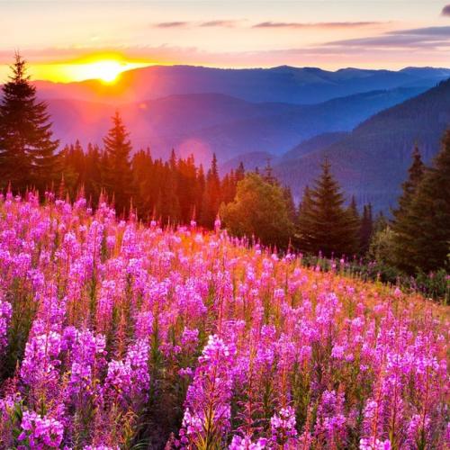 11.美德，孩子们的遗产。