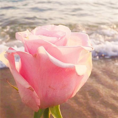 10.感到父亲在昏暗中的照顾，柔和的风抬起了窗玻璃。隐约听到母亲的警告，温柔的尤尔爬上了窗台。